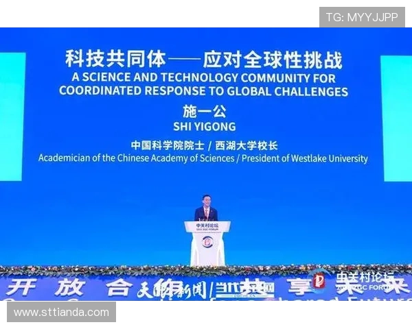 北京篮球队的崛起与发展探讨聚焦球队力量与未来展望